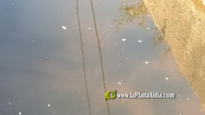 Fotografia /Galeria/2021/6/198143_123496/4_M1.jpg