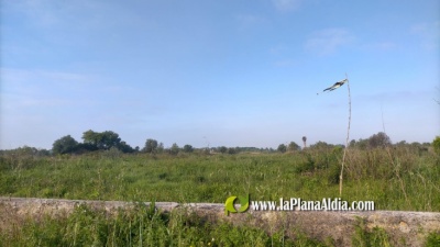 Fotografia /Galeria/2021/6/198145_123499/2_M1.jpg