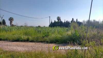 Fotografia /Galeria/2021/6/198145_123499/3_M1.jpg