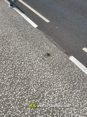 Fotografia /Galeria/2021/6/198149_123503/4_M1.jpg