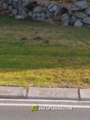 Fotografia /Galeria/2021/6/198174_123529/2_M1.jpg