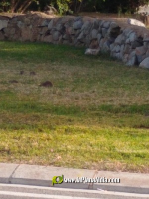 Fotografia /Galeria/2021/6/198174_123529/4_M1.jpg