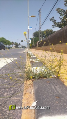 Fotografia /Galeria/2021/6/198174_123529/5_M1.jpg