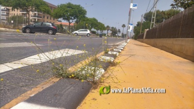 Fotografia /Galeria/2021/6/198174_123529/6_M1.jpg