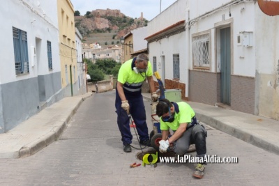 Onda previene las plagas de cucarachas y roedores con un tratamiento en las calles del municipio