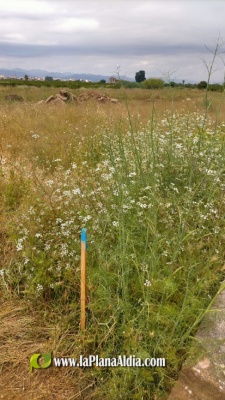 Fotografia /Galeria/2021/6/198214_123563/2_M1.jpg