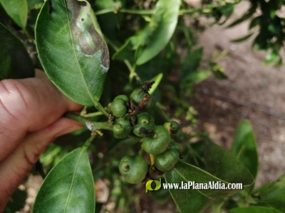 Fotografia /Galeria/2021/6/198252_123597/2_M1.jpg