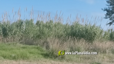 Fotografia /Galeria/2021/7/198359_123687/3_M1.jpg