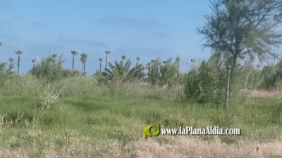 Fotografia /Galeria/2021/7/198359_123687/4_M1.jpg