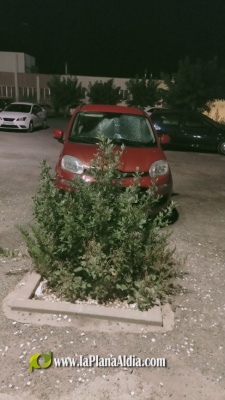 Fotografia /Galeria/2021/7/198359_123687/5_M1.jpg