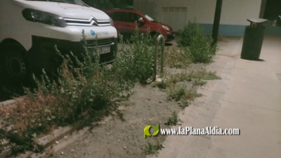 Fotografia /Galeria/2021/7/198359_123687/6_M1.jpg