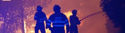 El PPCV demana al Consell que tramite amb urgència ajudes per als afectats per l'incendi d'Azuébar