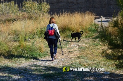 Fotografia /Galeria/2021/8/198657_123941/2_M1.jpg