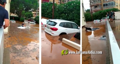 Fotografia /Galeria/2021/8/198696_123974/2_M1.jpg