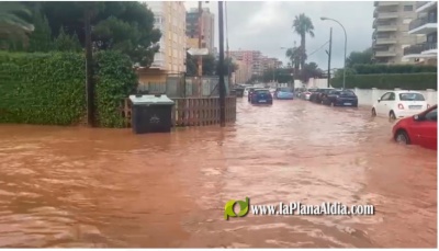 Fotografia /Galeria/2021/8/198696_123974/4_M1.jpg