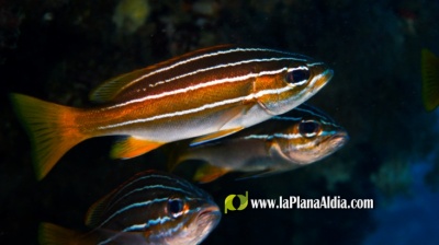 Fotografia /Galeria/2021/9/198773_124043/4_M1.jpg