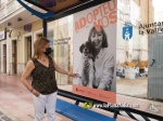 L'Ajuntament de la Vall d'Uix? fomenta l'adopci? d'animals despr?s de detectar un augment de l'aband? a l'estiu 