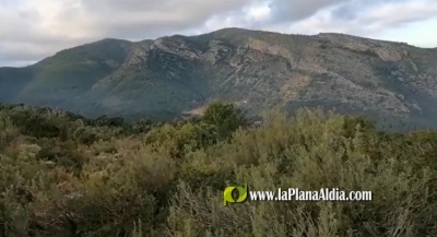 La Federació de Caça emprendrà accions legals davant el boicot a la batuda del Desert de les Palmes