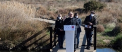 un-estudi-detecta-41-especies-diferents-d-ocells-en-les-marjals-de-la-provincia