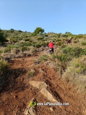 Comienzan las tareas de limpieza de la III fase de rehbilitación del conjunto Darrer del Castell d'Almenara