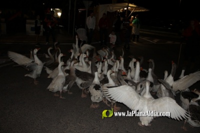 Fotografia /Galeria/2022/11/202781_127725/5_M1.jpg