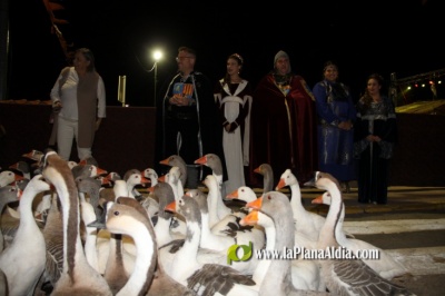 Fotografia /Galeria/2022/11/202781_127725/6_M1.jpg