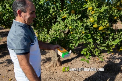 Fotografia /Galeria/2022/11/202792_127738/3_M1.jpg