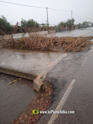 Fotografia /Galeria/2022/11/202878_127844/4_M1.jpg