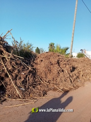 Fotografia /Galeria/2022/11/202878_127844/5_M1.jpg