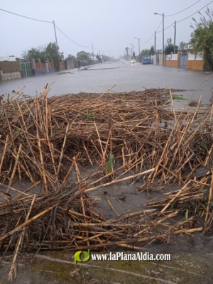 Fotografia /Galeria/2022/11/202878_127844/6_M1.jpg