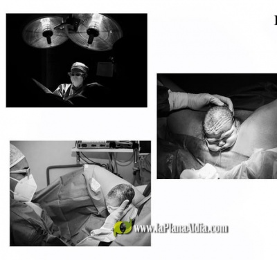 Fotografia /Galeria/2022/11/202920_127883/4_M1.jpg