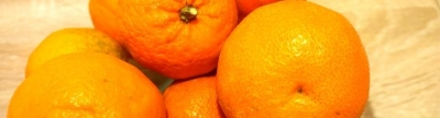 La Vilavella celebra la I Festa de la Taronja y nadie se entera