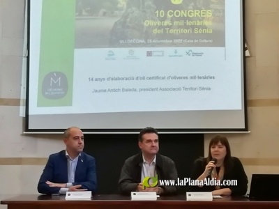 La Diputación de Castellón defiende el potencial turístico de los olivos milenarios como herramienta para luchar contra la despoblación