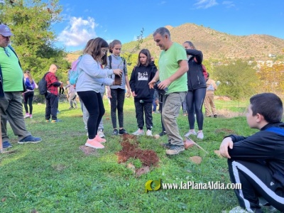 Fotografia /Galeria/2022/11/202967_127929/2_M1.jpg