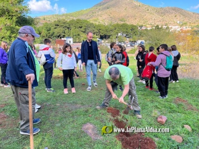 Fotografia /Galeria/2022/11/202967_127929/3_M1.jpg