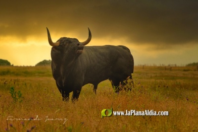 Fotografia /Galeria/2022/12/202994_127954/2_M1.jpg