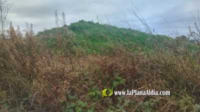 Fotografia /Galeria/2022/12/203027_127986/3_M1.jpg