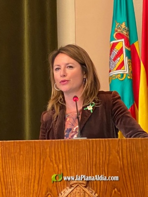 Carrasco denuncia retrasos en la activación del Consejo Local de Seguridad para combatir la delincuencia en Castellón de la mano de la participación ciudadana