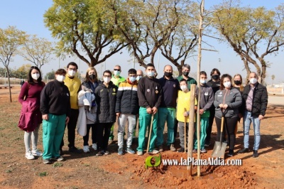 Los colegios de Vila-real conmemoran el Día del Árbol con la plantación de ejemplares en los centros educativos y la CEM