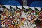 20- Tapiz