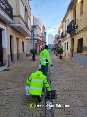 El Ayuntamiento de Moncofa realiza trabajos de prevencin para evitar la proliferacin de mosquitos tras el temporal