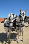 Les Alqueries, de romeria