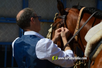 Fotografia /Galeria/2022/5/201098_126212/2_M1.jpg