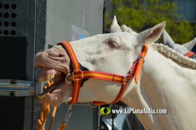 Fotografia /Galeria/2022/5/201098_126212/3_M1.jpg