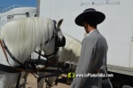 Les Alqueries, de romeria