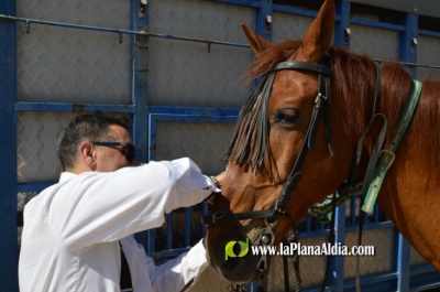 Fotografia /Galeria/2022/5/201098_126212/4_M1.jpg