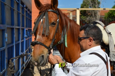 Fotografia /Galeria/2022/5/201098_126212/5_M1.jpg