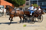 Les Alqueries, de romeria