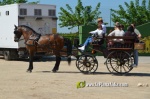 Les Alqueries, de romeria