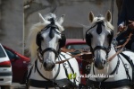 Les Alqueries, de romeria